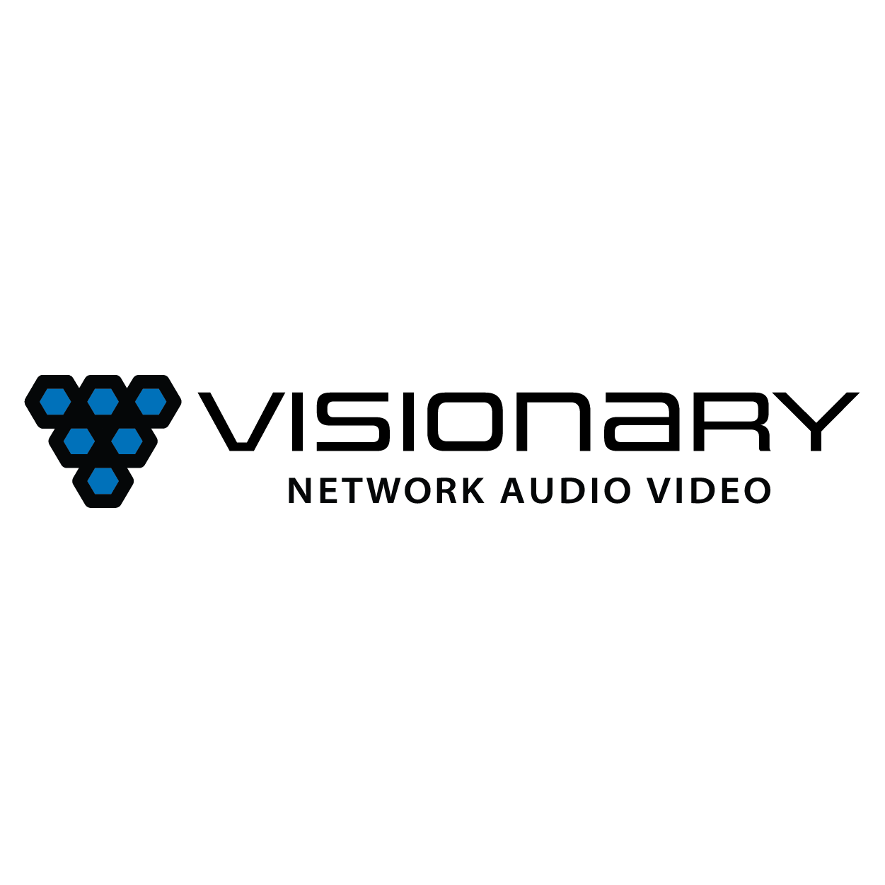 Vendor Logos - 300x300_Visionary