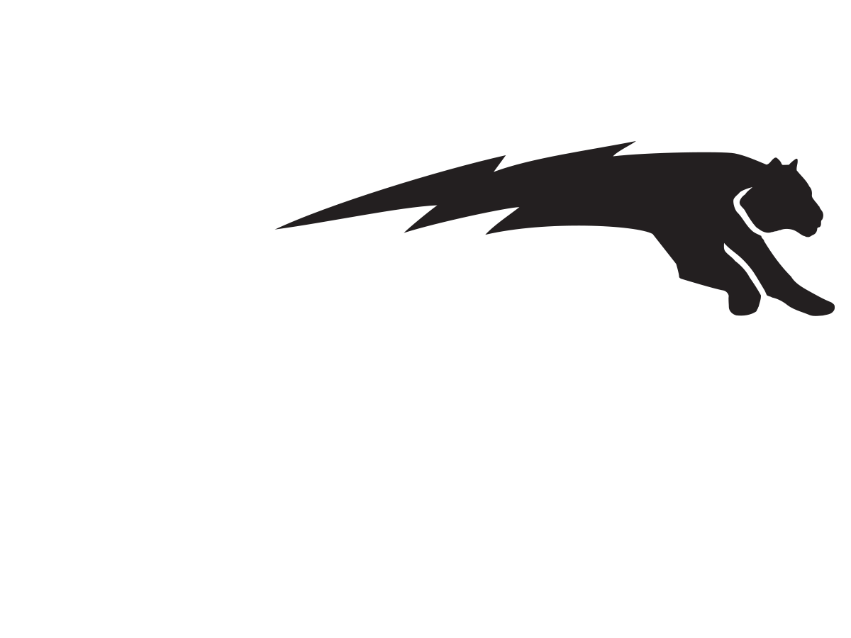 Tigr-logo-1