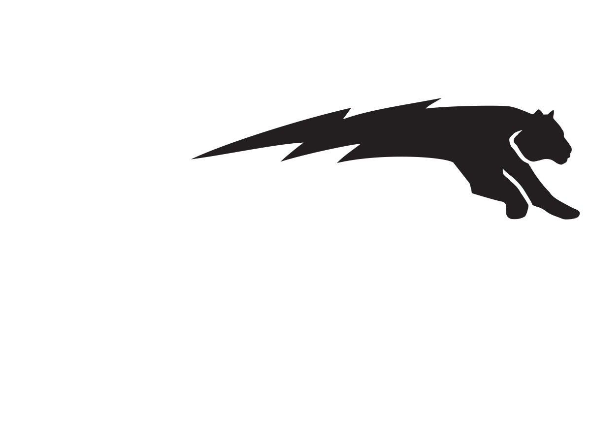 Tigr-logo
