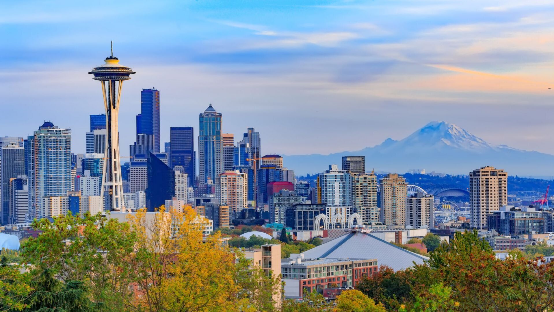 Seattle, Washington | Avidex